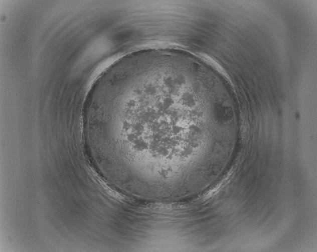 X0000072970831200608041216