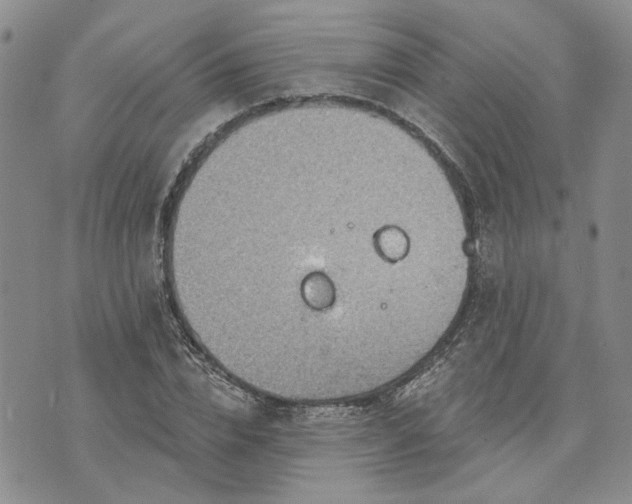 X0000072970832200608041216