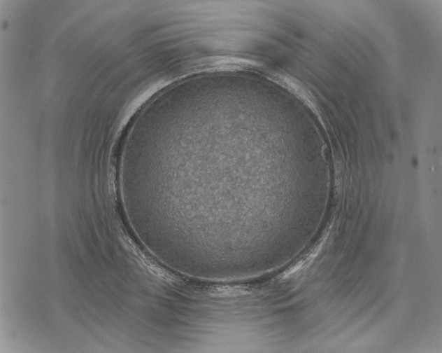 X0000072970835200608041216