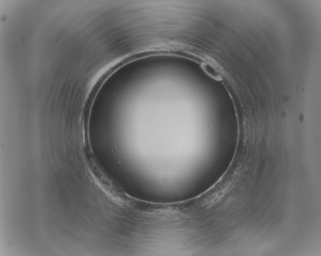 X0000072970838200608041216