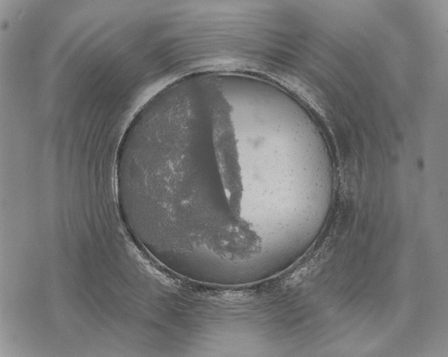 X0000072970839200608041216