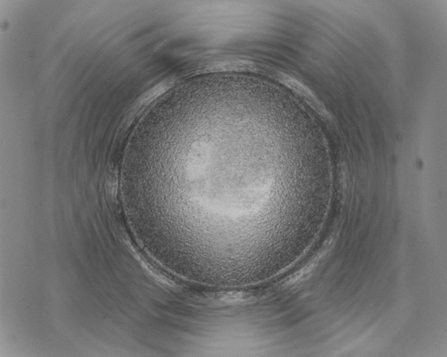 X0000072970841200608041216