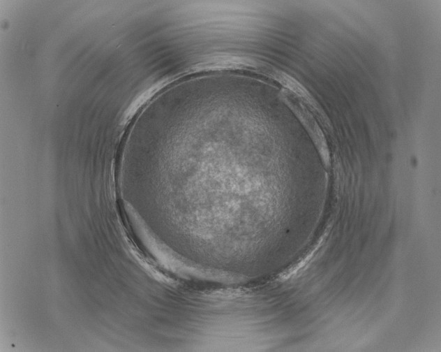 X0000072970842200608041216