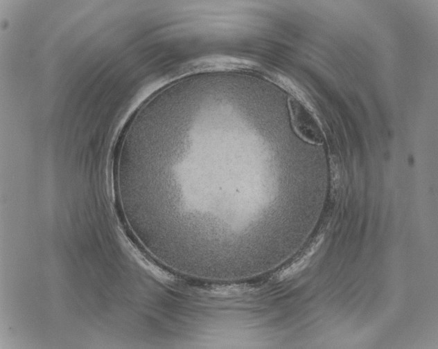 X0000072970843200608041216