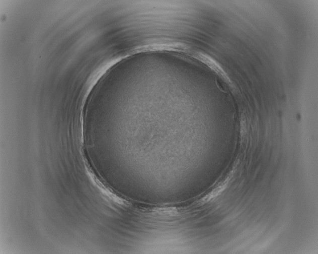 X0000072970844200608041216