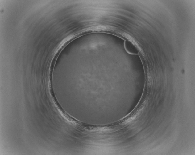 X0000072970845200608041216