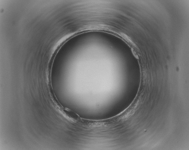 X0000072970846200608041216