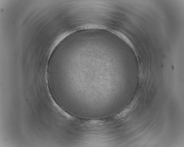 X0000072970847200608041216