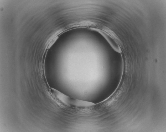 X0000072970850200608041216