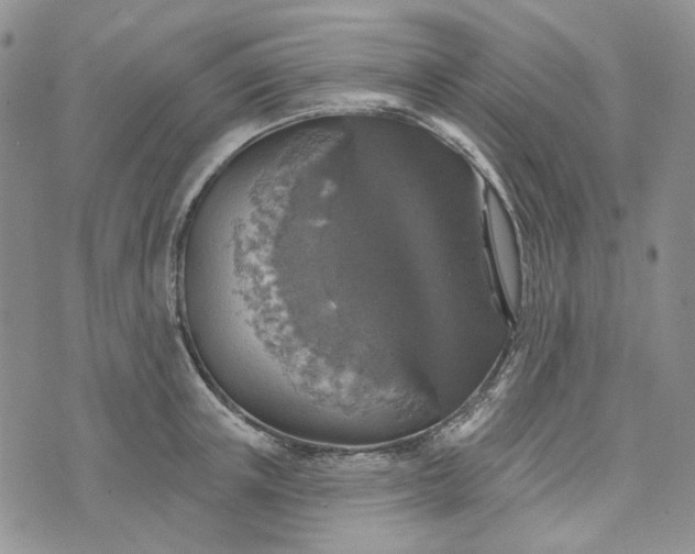 X0000072970851200608041216