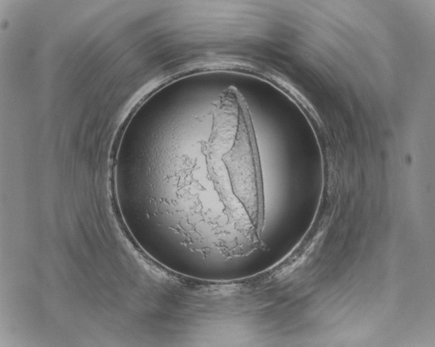 X0000072970853200608041216