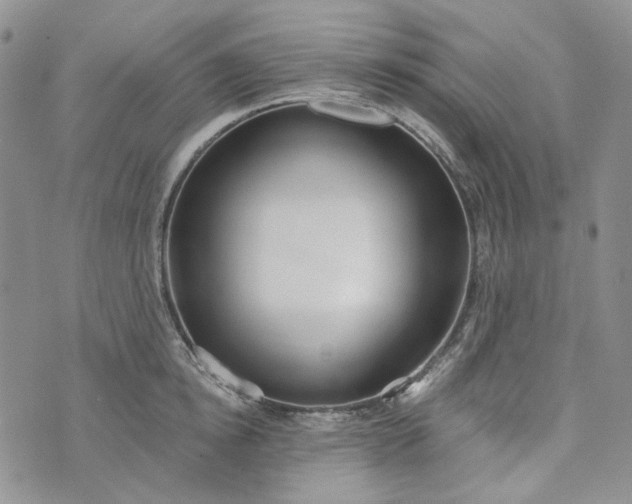 X0000072970854200608041216