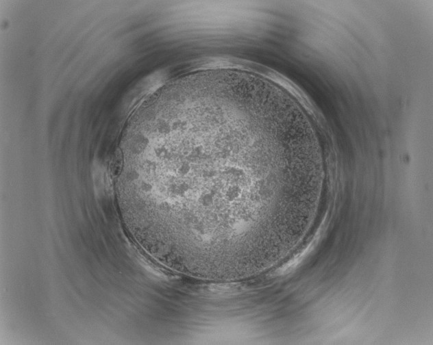 X0000072970857200608041216