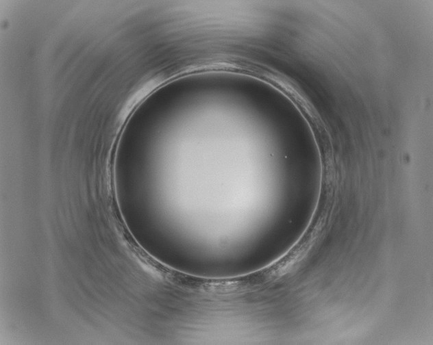 X0000072970858200608041216