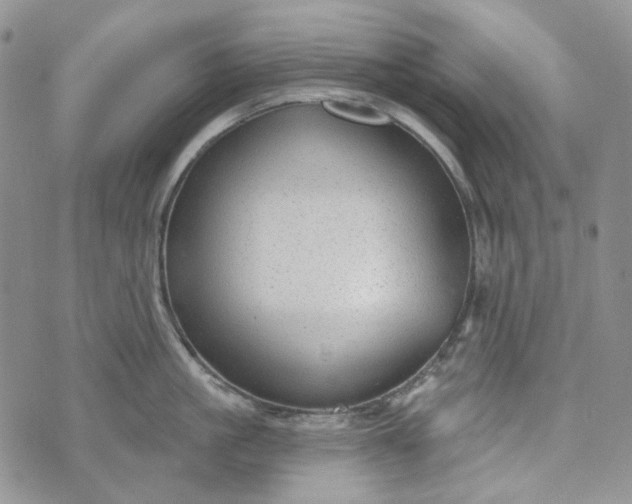 X0000072970861200608041216