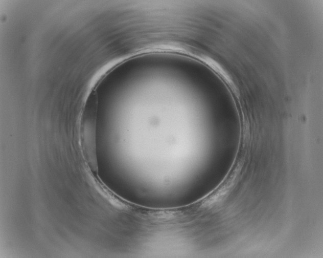 X0000072970862200608041216