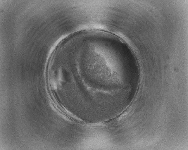 X0000072970864200608041216