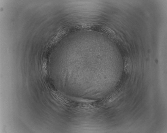 X0000072970866200608041215