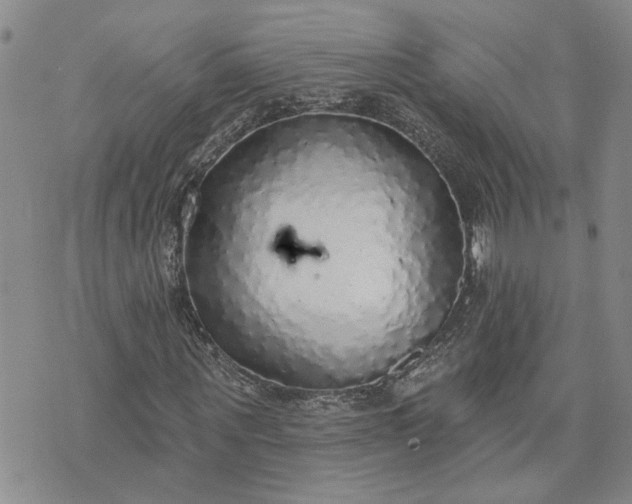 X0000072970867200608041215