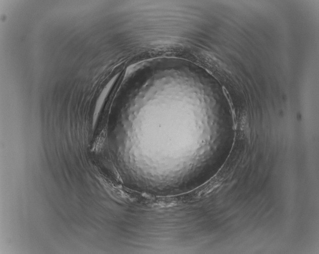 X0000072970868200608041215