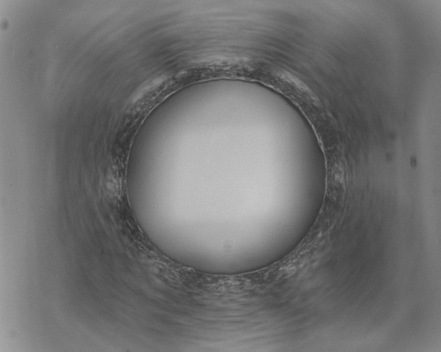 X0000072970869200608041215