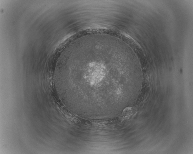 X0000072970870200608041215