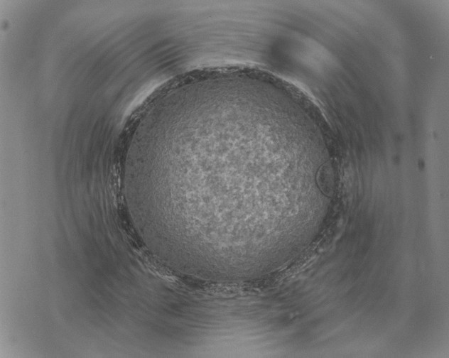 X0000072970871200608041215