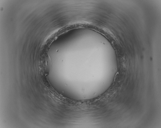 X0000072970872200608041215