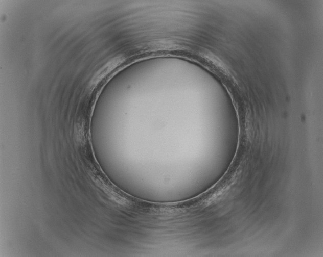 X0000072970873200608041215