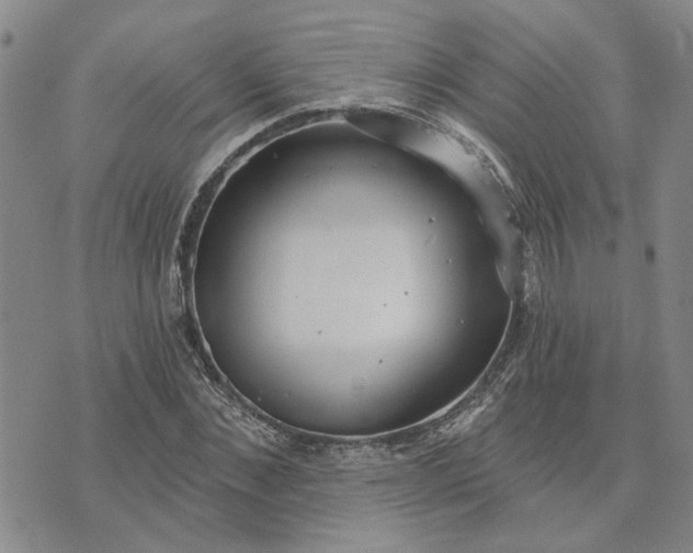 X0000072970876200608041215