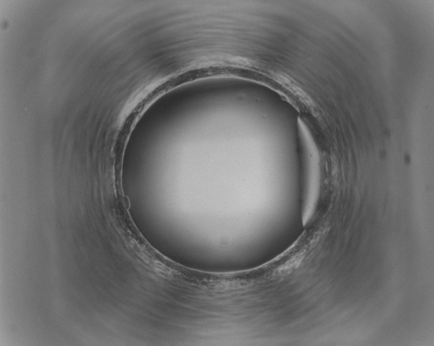 X0000072970877200608041215