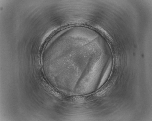 X0000072970878200608041215