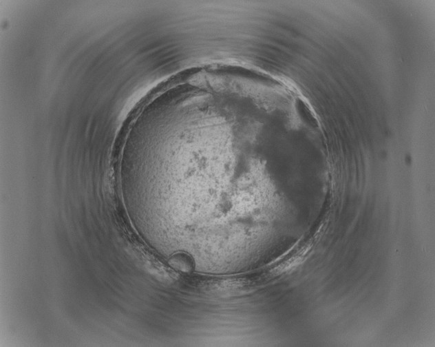 X0000072970879200608041215