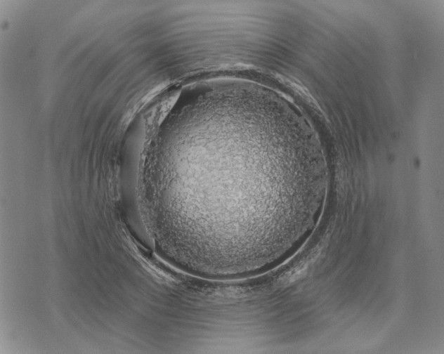 X0000072970881200608041215