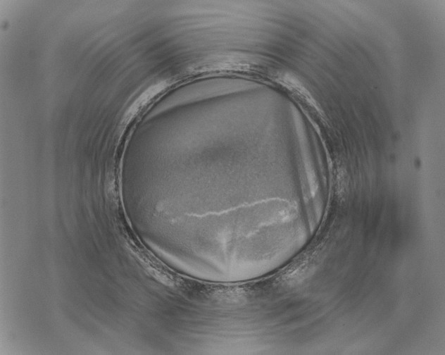 X0000072970882200608041215