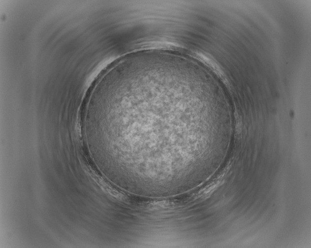 X0000072970883200608041215