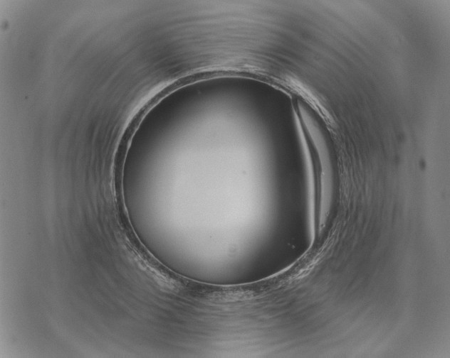 X0000072970884200608041215