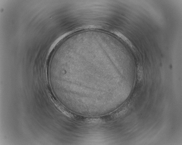 X0000072970886200608041215