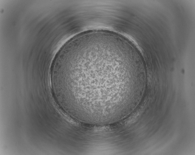 X0000072970887200608041215