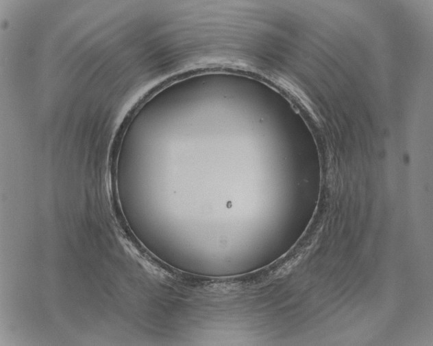 X0000072970888200608041215