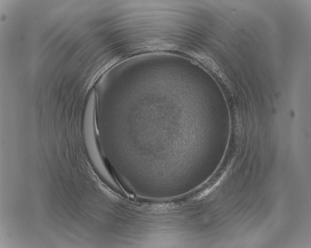 X0000072970889200608041215