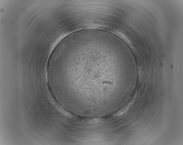 X0000072970891200608041215