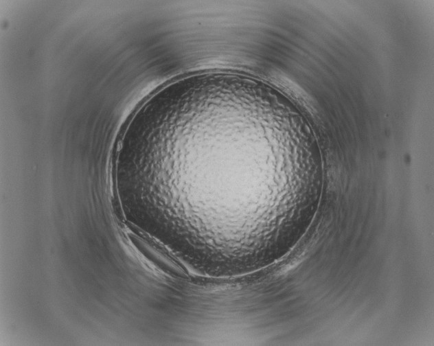 X0000072970892200608041215