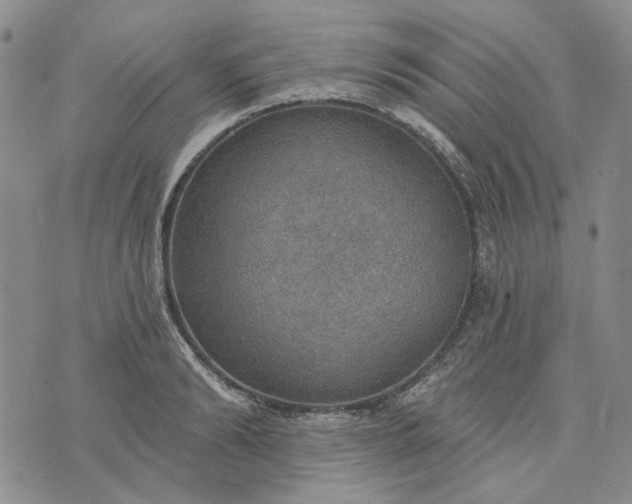 X0000072970894200608041215