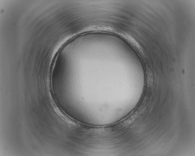 X0000072970896200608041215