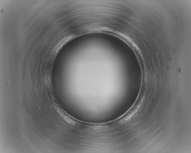 X0000072970897200608041215