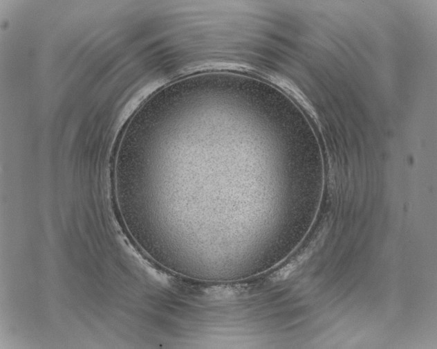 X0000072970898200608041215