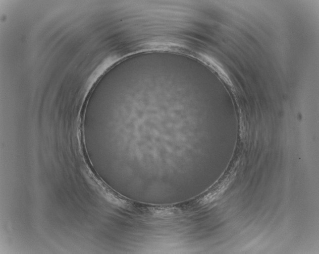 X0000072970899200608041215