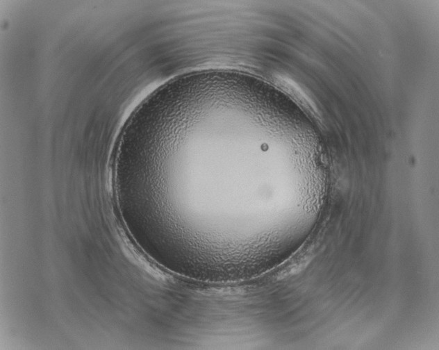 X0000072970900200608041215