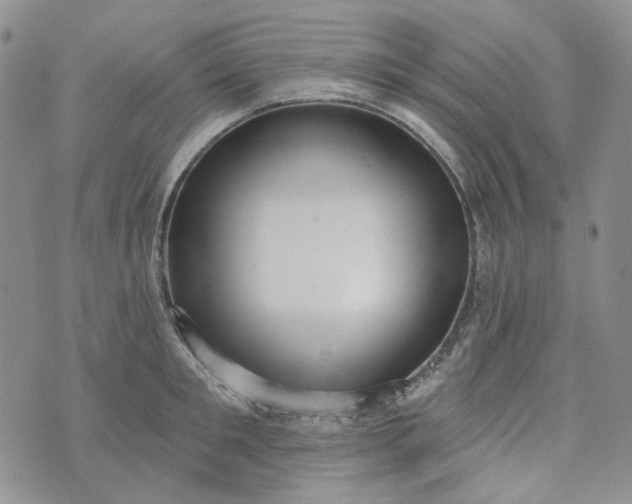 X0000072970901200608041215